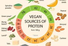 Best Vegetarian High Protein Foods for Daily Diet Plan