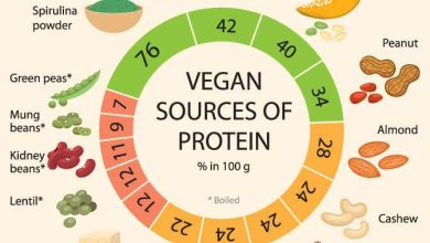 Best Vegetarian High Protein Foods for Daily Diet Plan