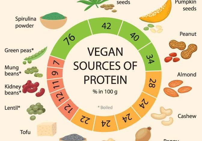Best Vegetarian High Protein Foods for Daily Diet Plan
